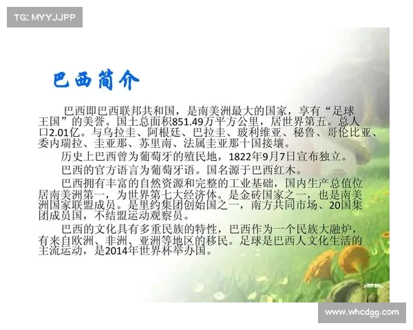 巴西葡萄牙语的历史演变与文化特色解析 巴西葡萄牙语的历史演变与文化特色解析